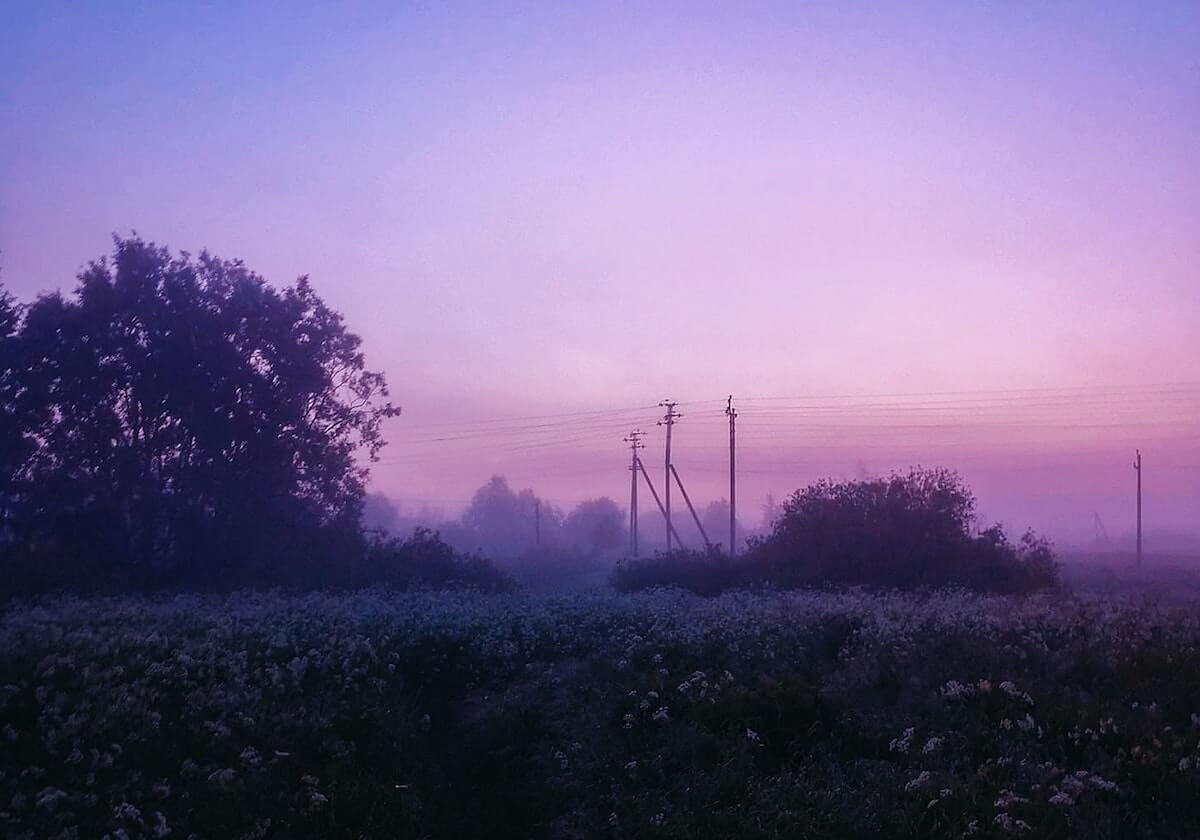 人人影视两步读法：揭开文字表达的奥秘