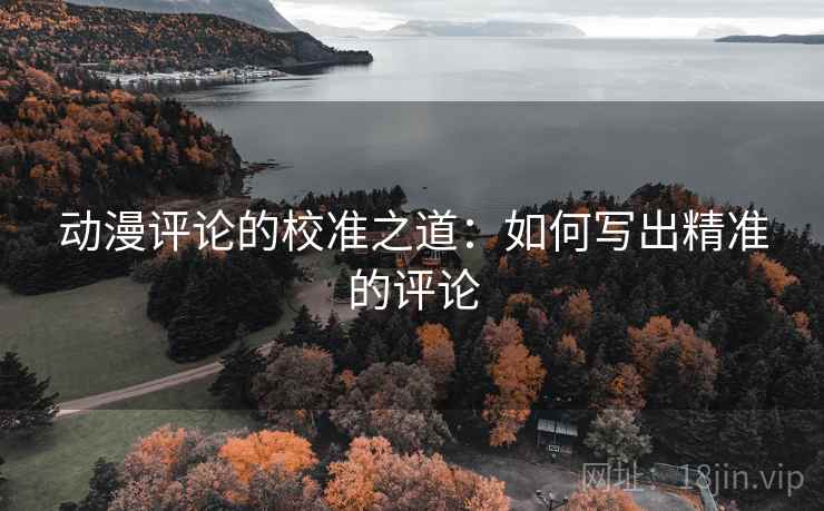 动漫评论的校准之道:如何写出精准的评论